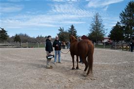 LR-WRF 0402026 Retreat-3080